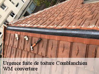 Urgence fuite de toiture  21700