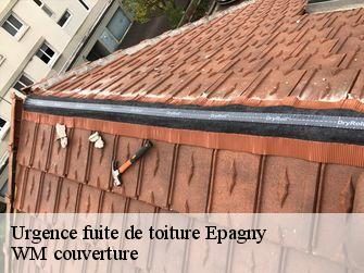 Urgence fuite de toiture 21380