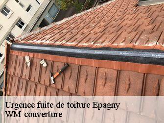 Urgence fuite de toiture  21380