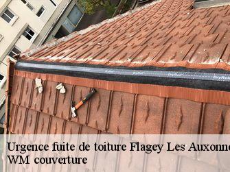 Urgence fuite de toiture  21130