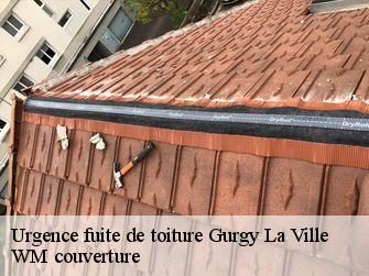 Urgence fuite de toiture  21290