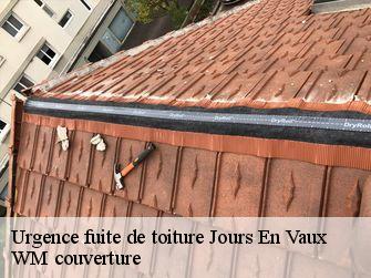 Urgence fuite de toiture 21340