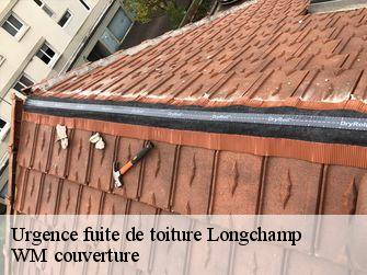 Urgence fuite de toiture 21110