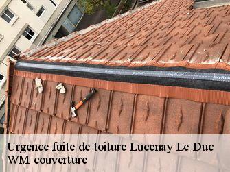 Urgence fuite de toiture 21150