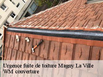 Urgence fuite de toiture  21140