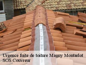 Urgence fuite de toiture  magny-montarlot-21130 SOS Couvreur