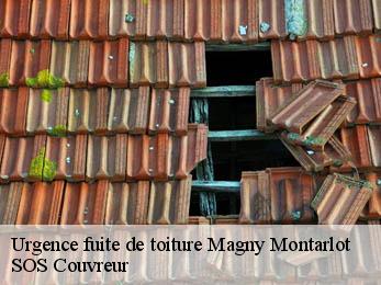 Urgence fuite de toiture