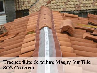 Urgence fuite de toiture magny-sur-tille-21110 SOS Couvreur