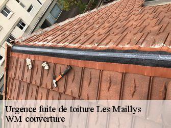 Urgence fuite de toiture  21130