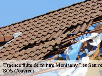 Urgence fuite de toiture 21250