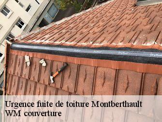 Urgence fuite de toiture  21460