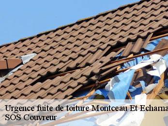 Urgence fuite de toiture  21360