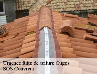 Urgence fuite de toiture ouges-21600 SOS Couvreur