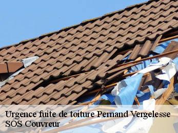 Urgence fuite de toiture 21420