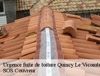 Urgence fuite de toiture quincy-le-vicomte-21500 SOS Couvreur