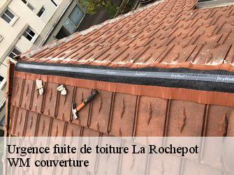 Urgence fuite de toiture  21340