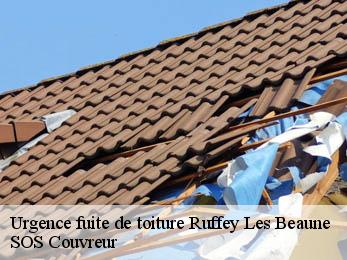 Urgence fuite de toiture 21200