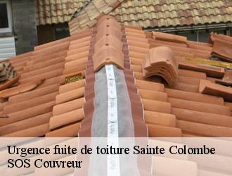 Urgence fuite de toiture sainte-colombe-21350 SOS Couvreur