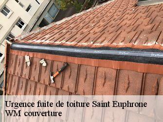 Urgence fuite de toiture  21140