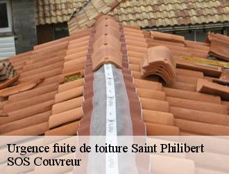 Urgence fuite de toiture  saint-philibert-21220 SOS Couvreur