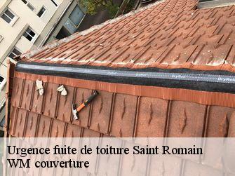 Urgence fuite de toiture 21190