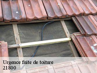 Urgence fuite de toiture