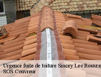 Urgence fuite de toiture sincey-les-rouvray-21530 SOS Couvreur