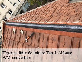 Urgence fuite de toiture  21110