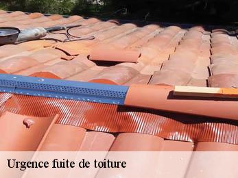 Urgence fuite de toiture