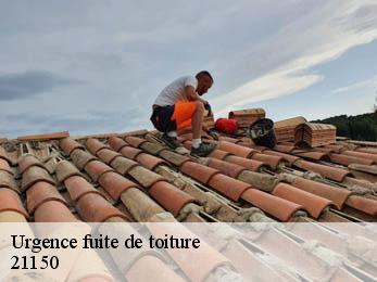 Urgence fuite de toiture 21150