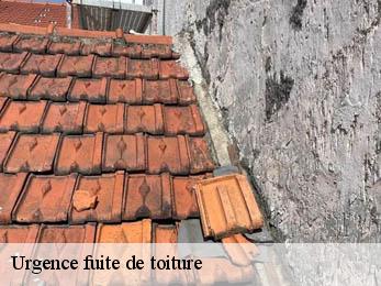 Urgence fuite de toiture 21150