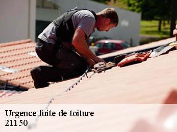 Urgence fuite de toiture 21150