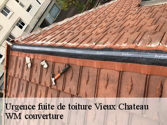 Urgence fuite de toiture  21460