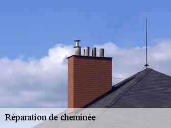 Réparation de cheminée 21410