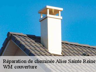 Réparation de cheminée  alise-sainte-reine-21150 WM couverture