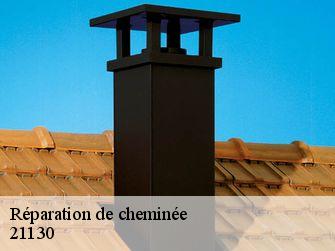 Réparation de cheminée  21130