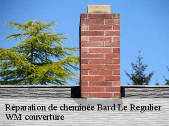 Réparation de cheminée