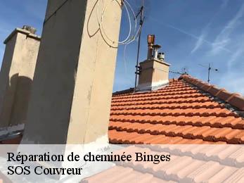 Réparation de cheminée 21270