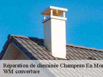 Réparation de cheminée  champeau-en-morvan-21210 WM couverture