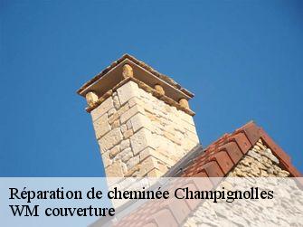 Réparation de cheminée  21230