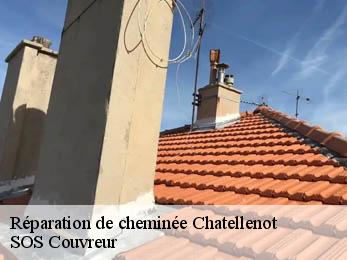 Réparation de cheminée 21320