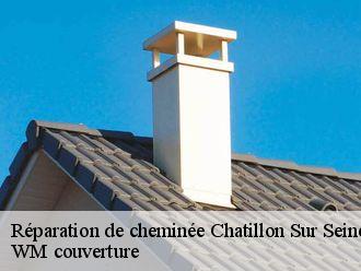 Réparation de cheminée  chatillon-sur-seine-21400 WM couverture