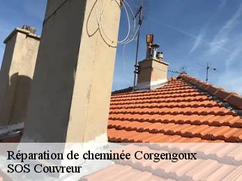Réparation de cheminée  21250