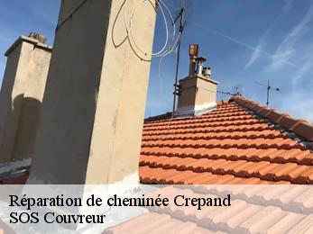 Réparation de cheminée  21500