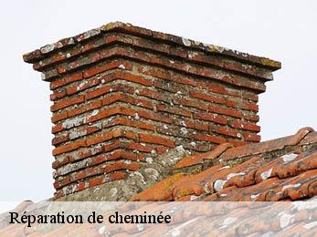 Réparation de cheminée  21500