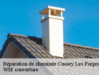 Réparation de cheminée  cussey-les-forges-21580 WM couverture
