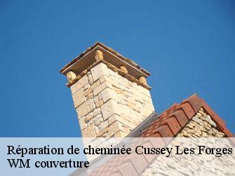 Réparation de cheminée 21580