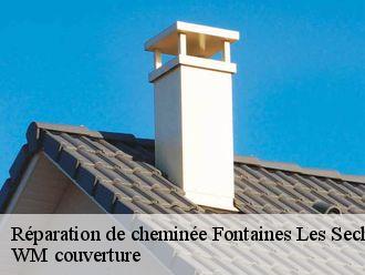 Réparation de cheminée  fontaines-les-seches-21330 WM couverture