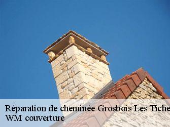 Réparation de cheminée 21250