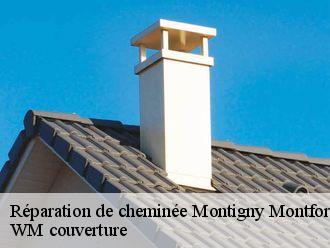 Réparation de cheminée  montigny-montfort-21500 WM couverture